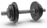 Muscles